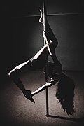 Pole dancer