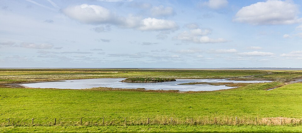 File:Paesens. Dobbe, 17-09-2024. (actm.) 01.jpg