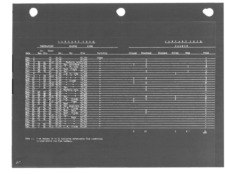 File:Counts of fish for 1939 - USACE-p16021coll3-4.pdf